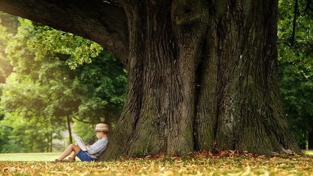 Little boy reading at book sitting a the foot of a big linden tree