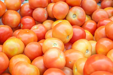 Group of tomato in market