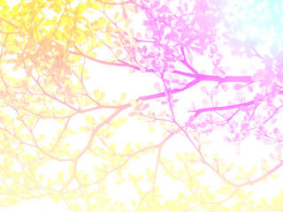 Abstract twigs and leaves background.  Twigs and leaves made with color filters.