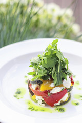 Vegeterian salad with ruccola, tomatos and eggplants