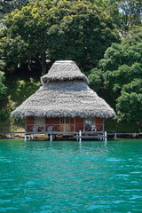 Tropical bungalow with thatched roof over water