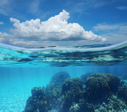 Split image sky cloud and coral reef underwater