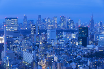東京都市風景　渋谷と新宿高層ビル群を望む　夜景