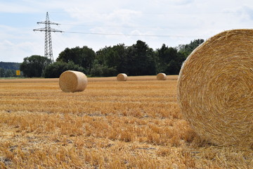 Rundballen