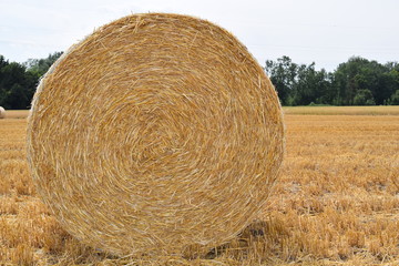 Rundballen