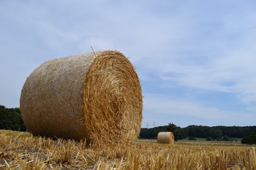 Rundballen