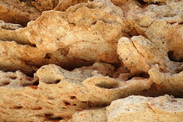 close-up relief of the rocks