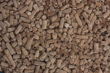 Dry corncobs after harvesting.