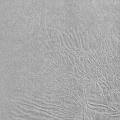 Obraz premium Fluffy paper sheet.