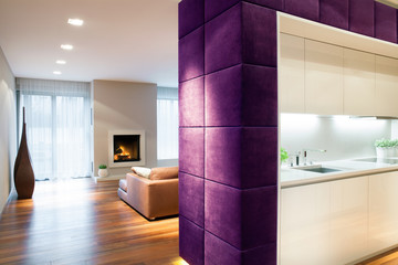 Interior in modern style