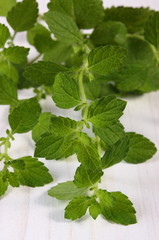 Fresh healthy lemon balm on white wooden table, herbalism