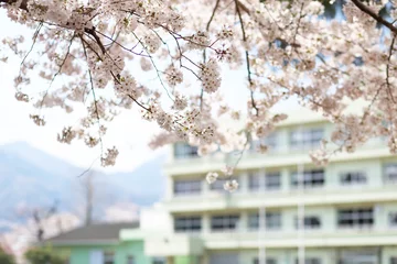 Stickers pour porte Fleur de cerisier Sakura et bâtiment scolaire