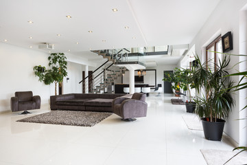 Spacious designer room