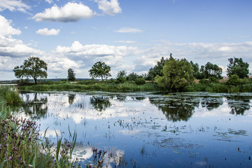 Green grass, blue sky and flowing river landscape.