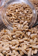 Sunflower seeds spilling out of glass jar. Wooden background