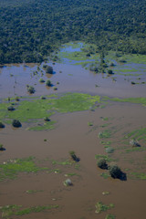 増水したアマゾン川
