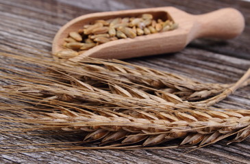 Heap and ears of rye grain on wooden background