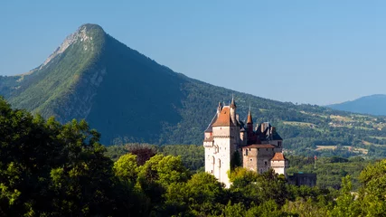 Cercles muraux Château Castle and mountains (Menthon saint Bernard, Savoy, Alps, France)