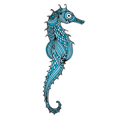 Blue sea horse illustration on simple white background