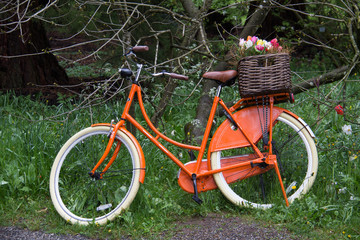 Fototapeta na wymiar Old bicycle in a garden decoration