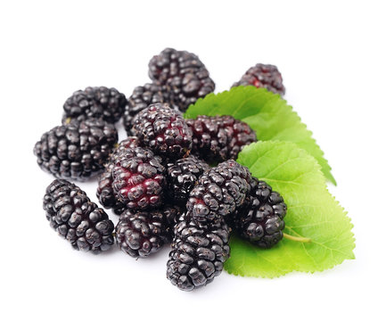 Ripe mulberry with leafs