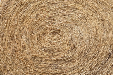 A close-up shot of a large bail of hay, roll of hay