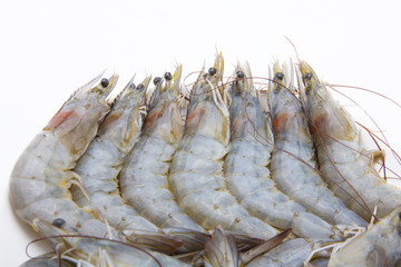 raw shrimps on white background
