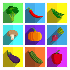 Colorful Vegetable Icon Set on Bright Background