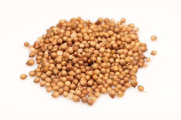 Coriander seeds isolated on white background