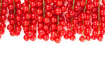 red currant on a white background.
