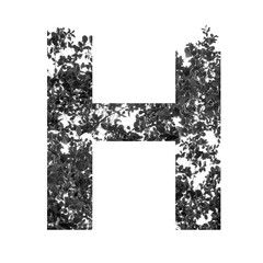 H letter double exposure with black and white leaves isolated on