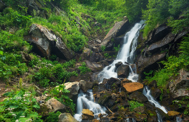 Waterfall in summer canyon. Beautiful natural landscape