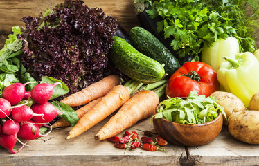 Bio Vegetables Assortment Freshly Picked