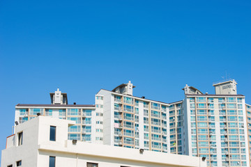 building,apartment house.