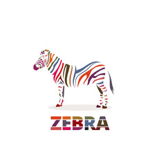 Zebra with colored stripes. Artistic stylized silhouette. Wild animals concept icon. Vector illustration.