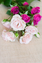 Flowers greeting card