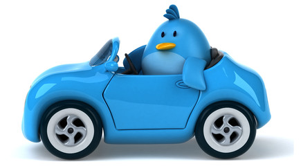 Obraz premium Blue bird