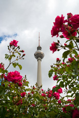Berlin TV Tower at Alexanderplatz
