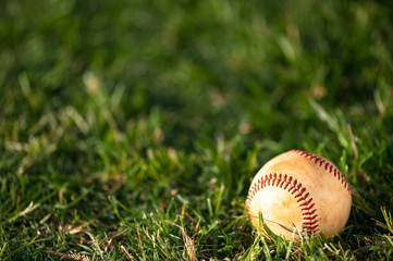 Baseball on Grass