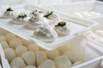 burrata cheese on a production
