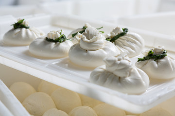 burrata cheese on a production