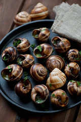 Bourguignonne snail au gratin in a frying pan, close-up