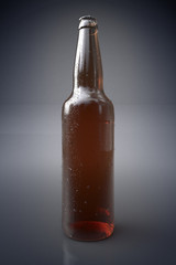Beer Bottle