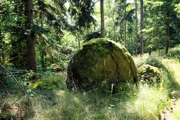 A big Stone in the Forest