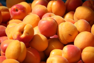 Ripe apricots