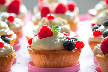 Lines of delicious cupcakes