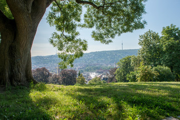 Blick von der Karlshöhe zum Fernsehturm