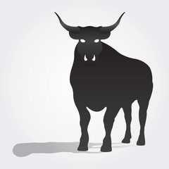 Vector image of an bull on a white background