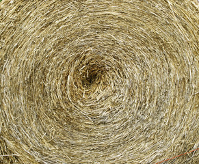 circle thatch texture and wallpaper
