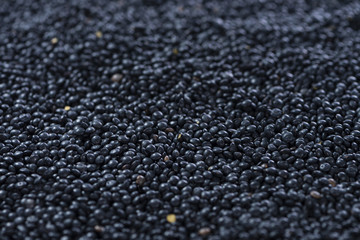 Black Lentils (food background)